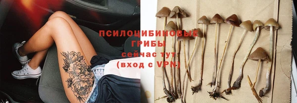 соль ск Зеленодольск