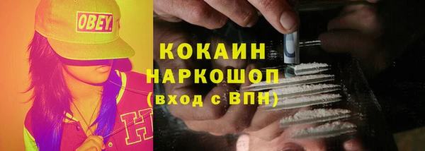 дмт Инта