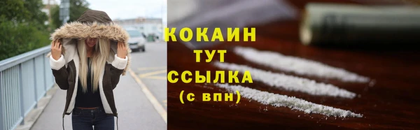 соль ск Зеленодольск