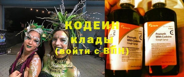 соль ск Зеленодольск