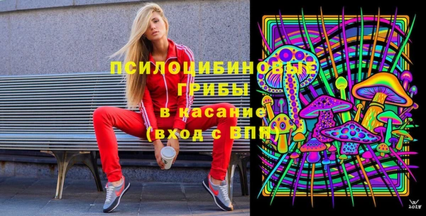 соль ск Зеленодольск