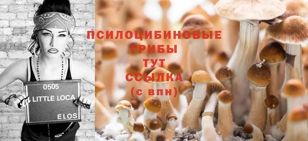 крисы Зеленокумск